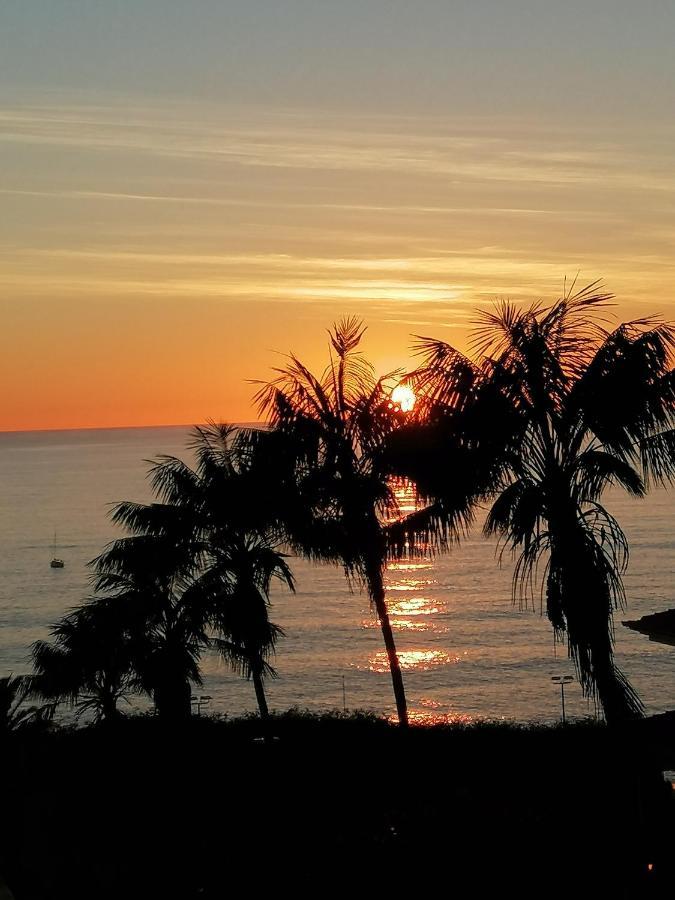 Shearwaters - Sounds Of The Sea Apartment Funchal  Bagian luar foto