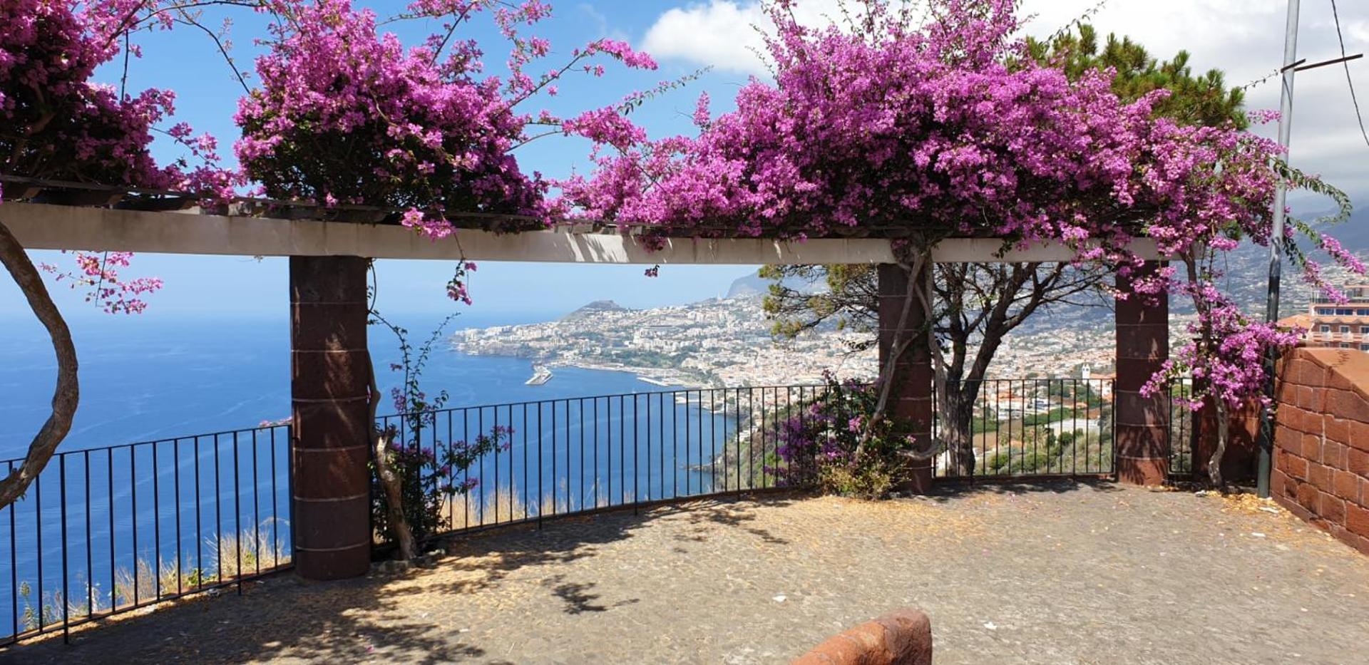 Shearwaters - Sounds Of The Sea Apartment Funchal  Ruang foto